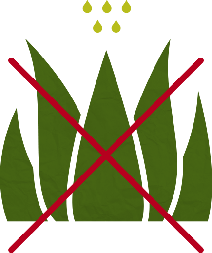 Glifopampa Malezas